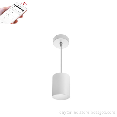 SZDAYTON Lighting Master D IP65 Series: Zigbee Tuya APP Intelligent Pendant Surface Downlight